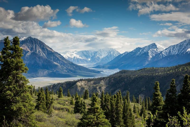 Alpine Trails & Bush Resilience